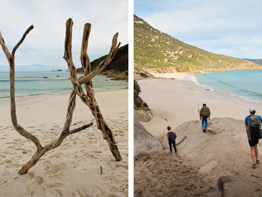 bushwalking-driftwood-sculpture-beach