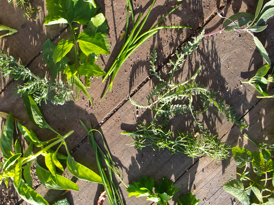 chives-parsley-basil-sage-dandelion-milk-thistle-rosemary-mulch
