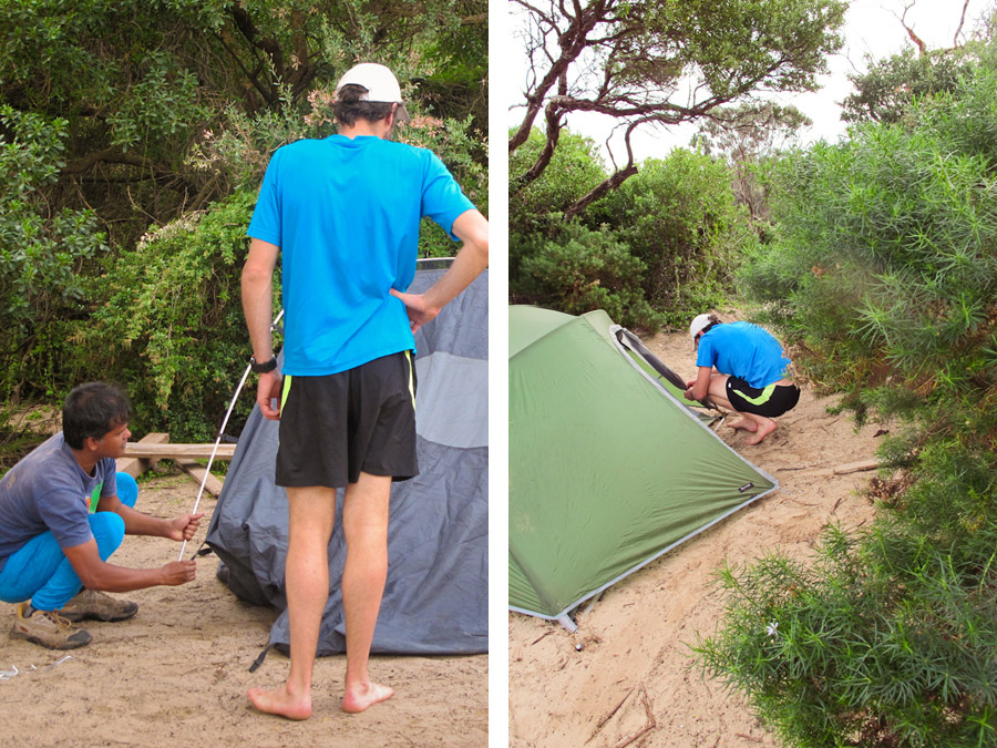 setting-up-tents-camping