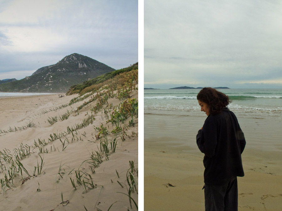 wandering-beach-windswept